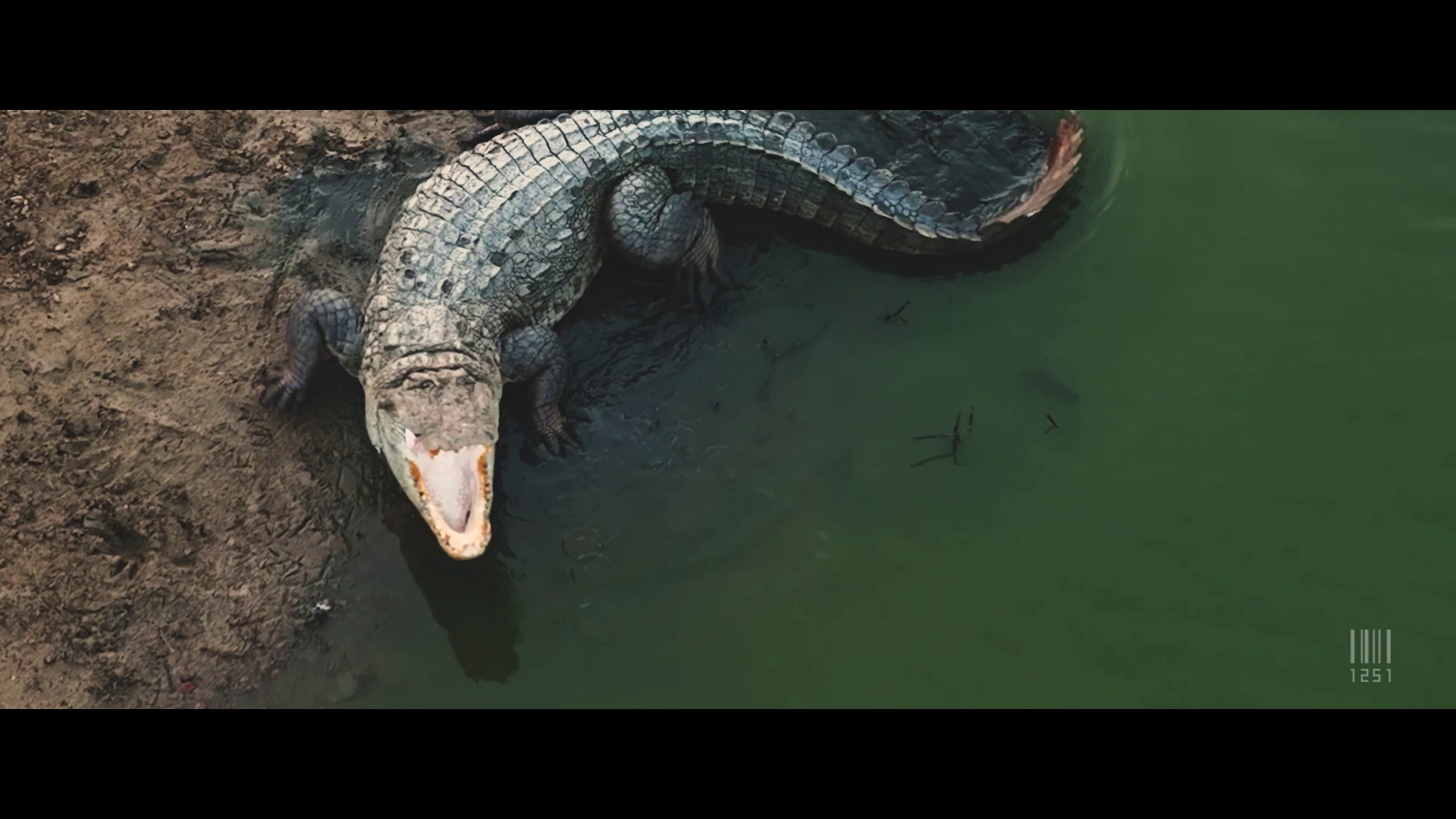 Mahim Pandhi Wildlife Foundation Introduction